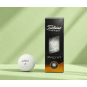 TITLEIST PRO V1