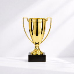 Invictus cup