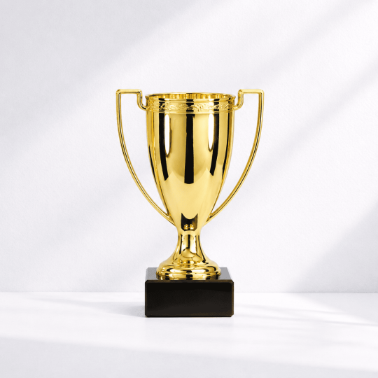 Invictus cup