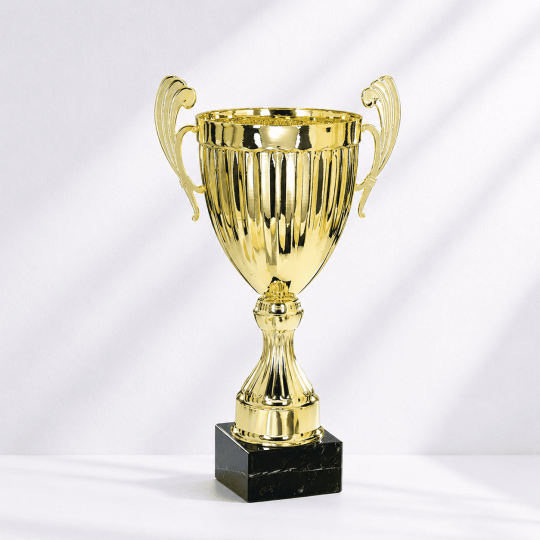 Elite cup
