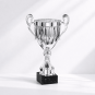 Elite cup