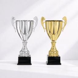 Master cup