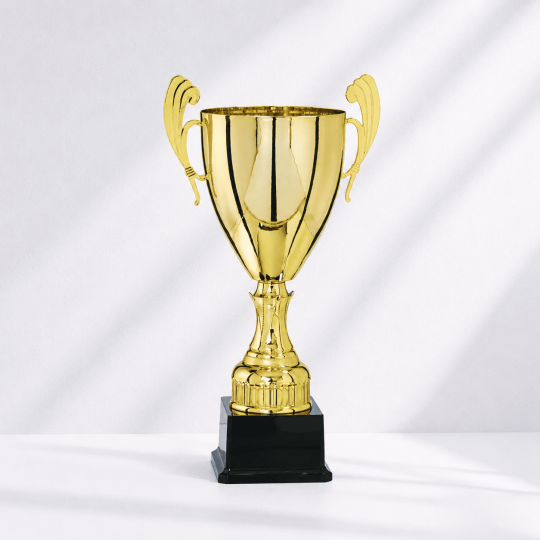 Master cup