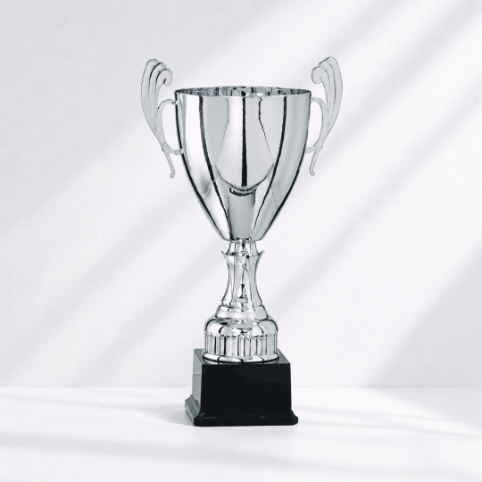 Master cup