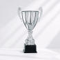 Master cup