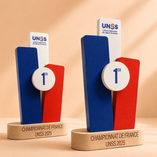 Création UNSS