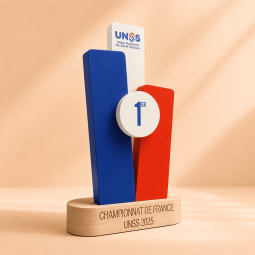 Création UNSS